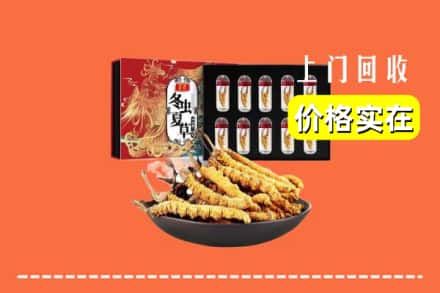 大连市甘井子回收冬虫夏草
